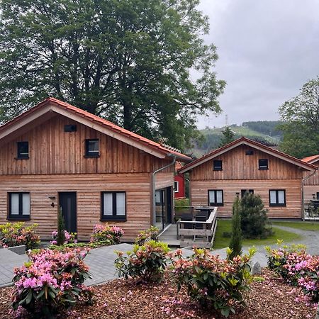 Cecilienpark Oberharz Villa Goslar Luaran gambar