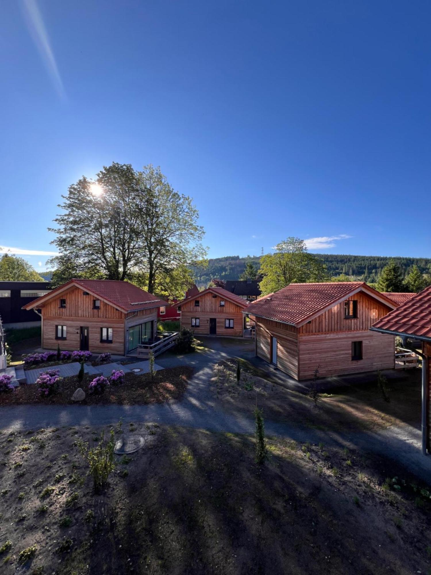 Cecilienpark Oberharz Villa Goslar Luaran gambar