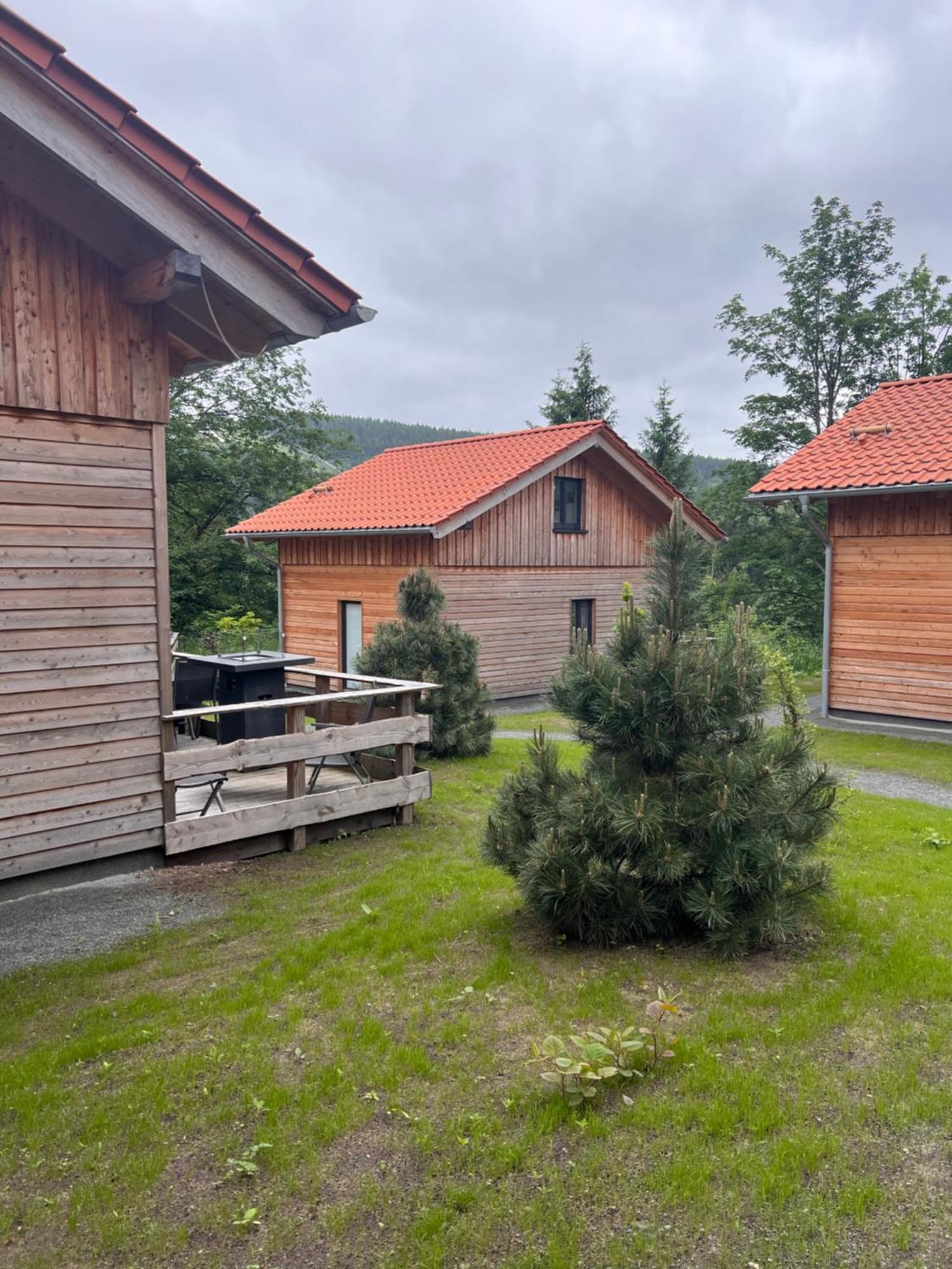 Cecilienpark Oberharz Villa Goslar Luaran gambar