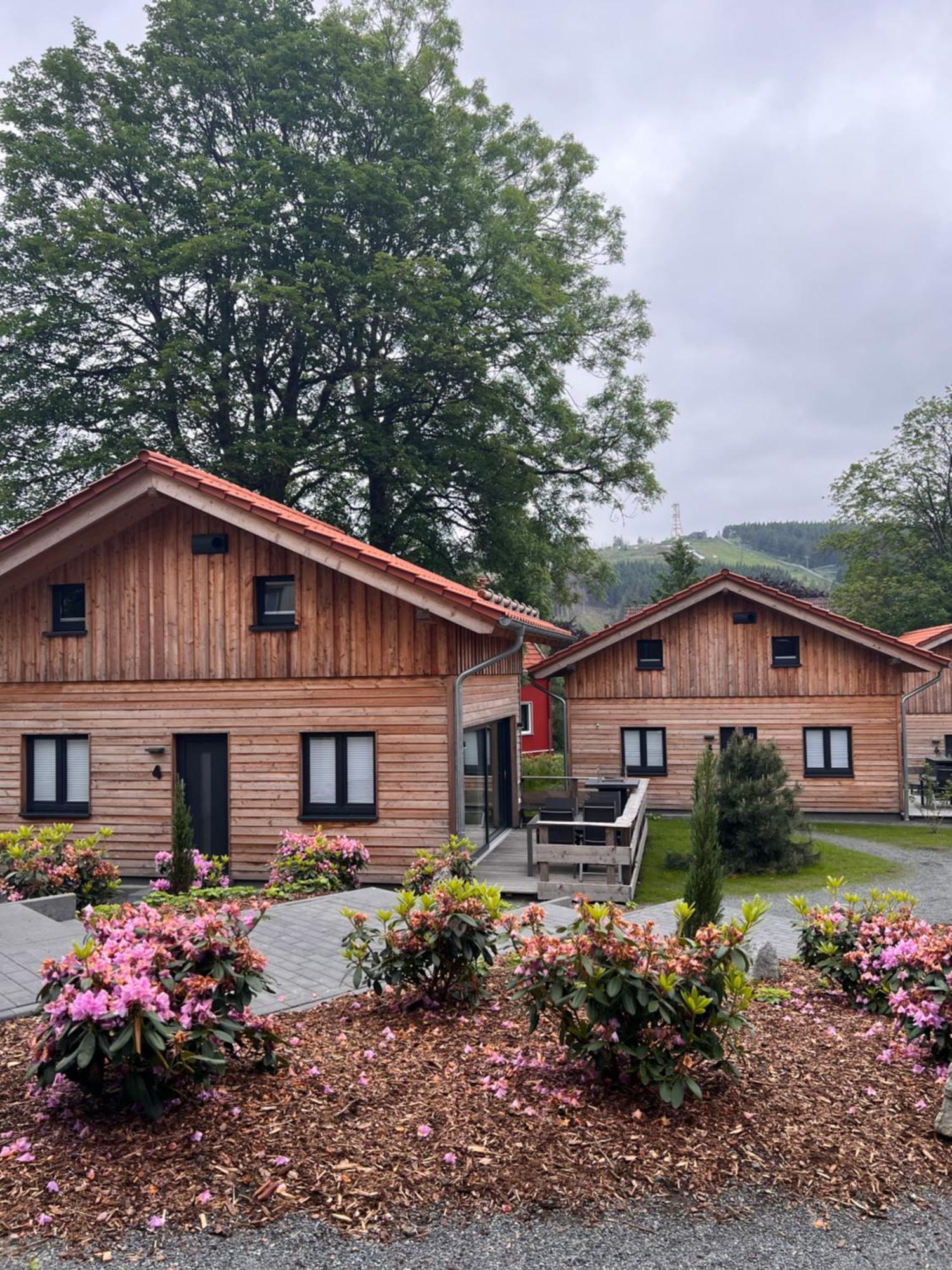 Cecilienpark Oberharz Villa Goslar Luaran gambar