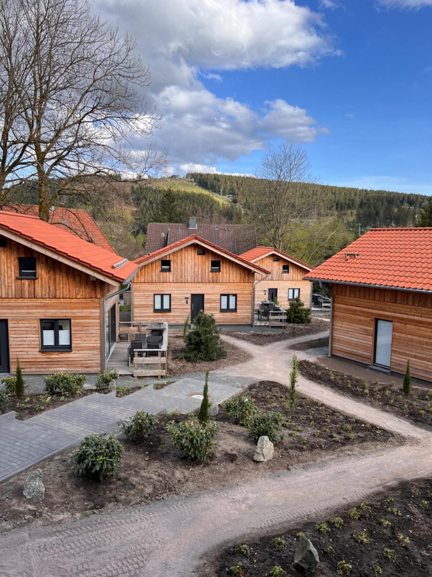 Cecilienpark Oberharz Villa Goslar Luaran gambar